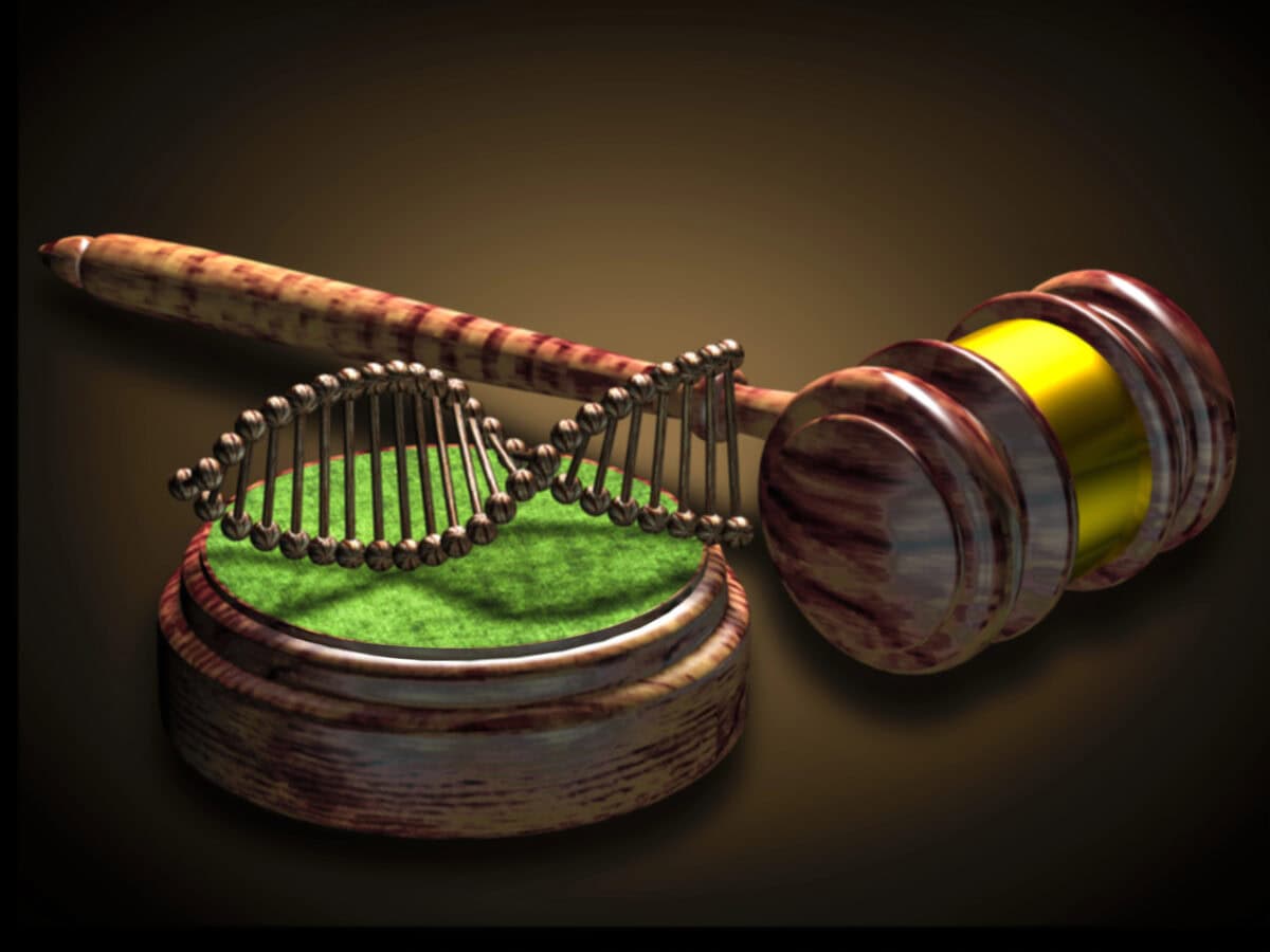 Judge's hammer and human DNA.